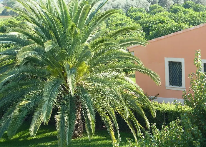 Agriturismo Limoneto Syracuse